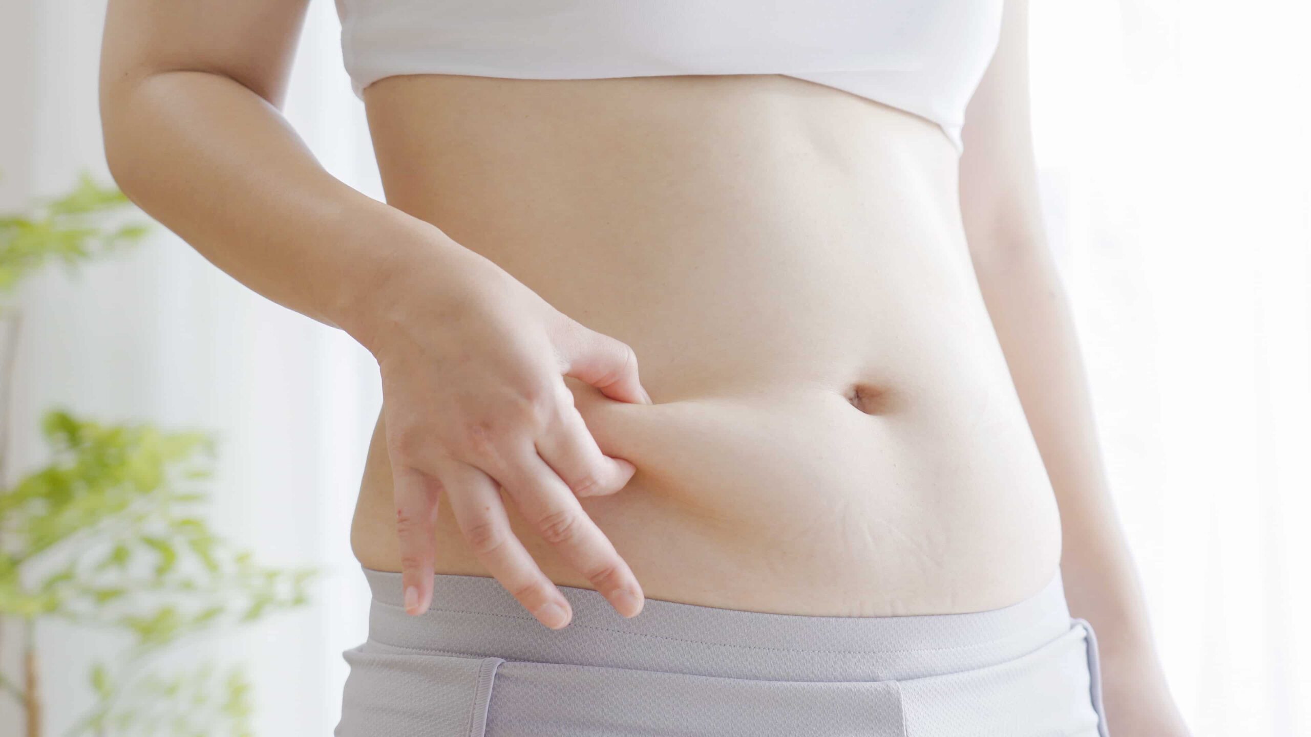 grasa en la barriga