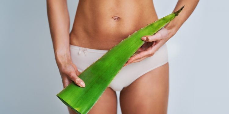 Aloe vera: qué es, para qué sirve, propiedades